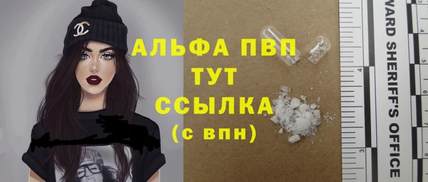 гидра Бронницы