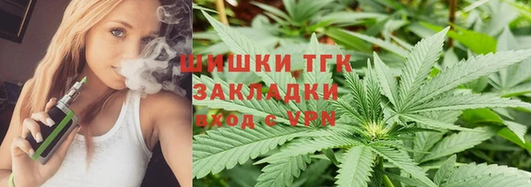 гидра Бронницы